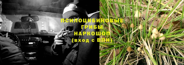 молекула духа Богородицк